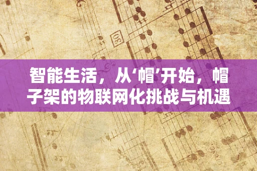 智能生活，从‘帽’开始，帽子架的物联网化挑战与机遇