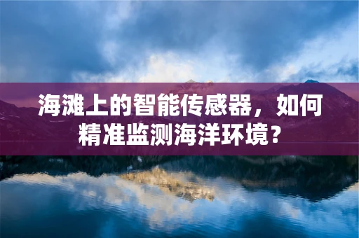 海滩上的智能传感器，如何精准监测海洋环境？