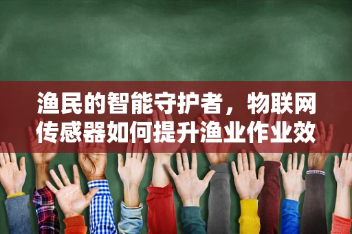 渔民的智能守护者，物联网传感器如何提升渔业作业效率？
