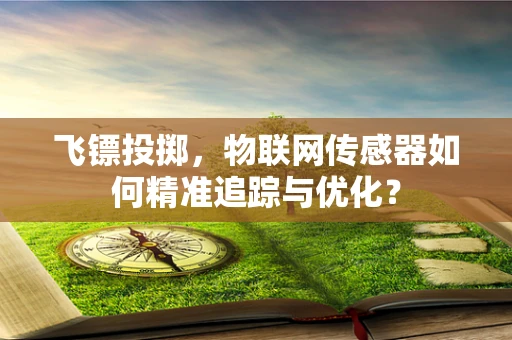 飞镖投掷，物联网传感器如何精准追踪与优化？