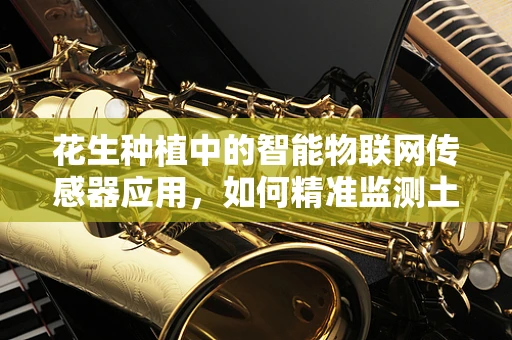 花生种植中的智能物联网传感器应用，如何精准监测土壤湿度？