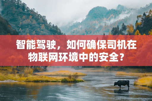 智能驾驶，如何确保司机在物联网环境中的安全？