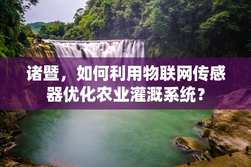诸暨，如何利用物联网传感器优化农业灌溉系统？