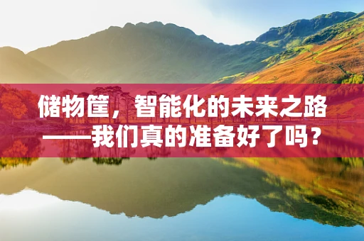 储物筐，智能化的未来之路——我们真的准备好了吗？
