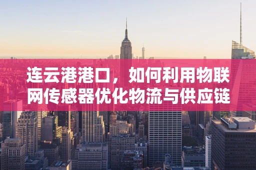 连云港港口，如何利用物联网传感器优化物流与供应链管理？