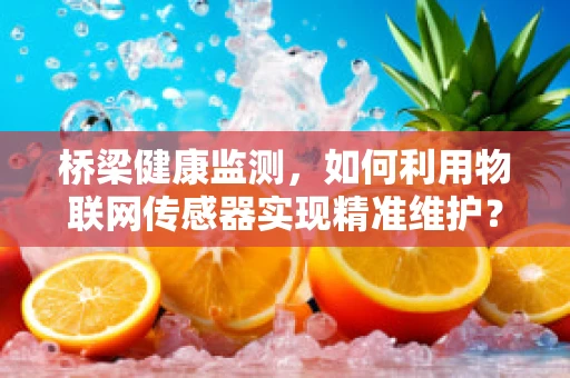 桥梁健康监测，如何利用物联网传感器实现精准维护？