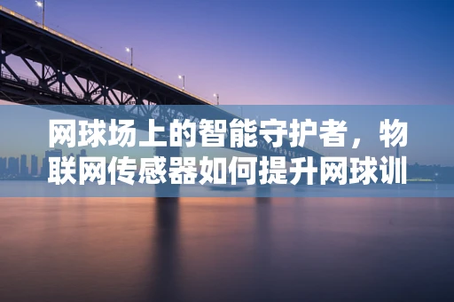 网球场上的智能守护者，物联网传感器如何提升网球训练的精准性？