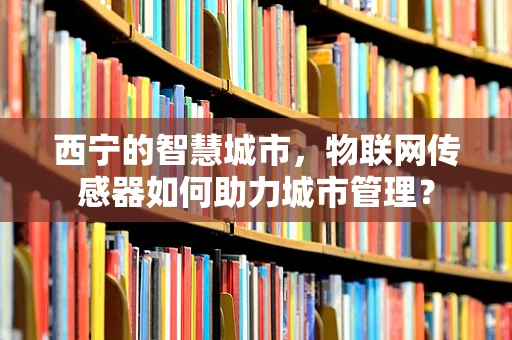 西宁的智慧城市，物联网传感器如何助力城市管理？
