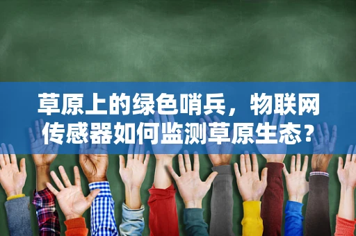 草原上的绿色哨兵，物联网传感器如何监测草原生态？