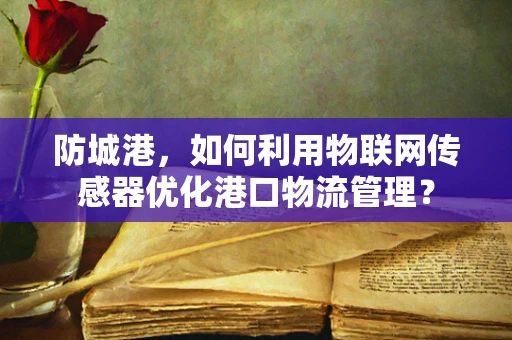 防城港，如何利用物联网传感器优化港口物流管理？