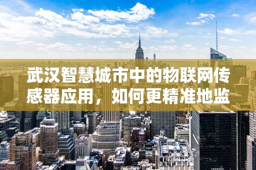 武汉智慧城市中的物联网传感器应用，如何更精准地监测城市环境？