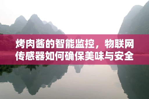烤肉酱的智能监控，物联网传感器如何确保美味与安全？