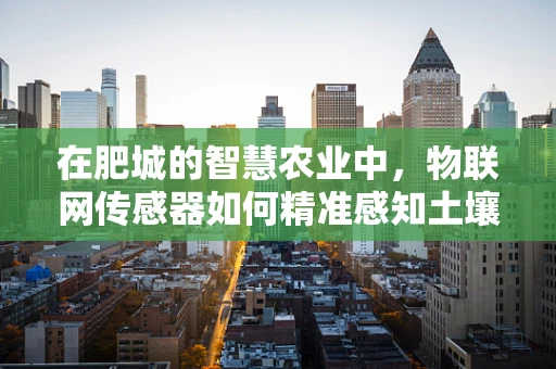在肥城的智慧农业中，物联网传感器如何精准感知土壤健康？