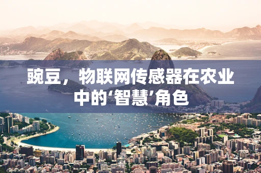 豌豆，物联网传感器在农业中的‘智慧’角色