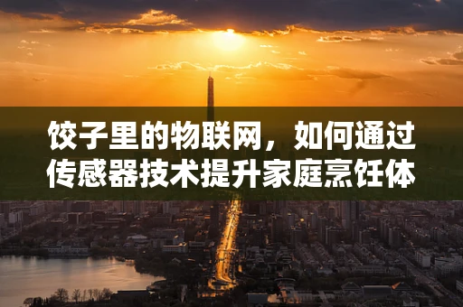 饺子里的物联网，如何通过传感器技术提升家庭烹饪体验？