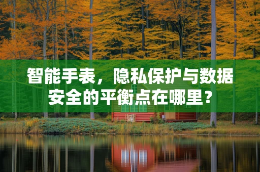 智能手表，隐私保护与数据安全的平衡点在哪里？