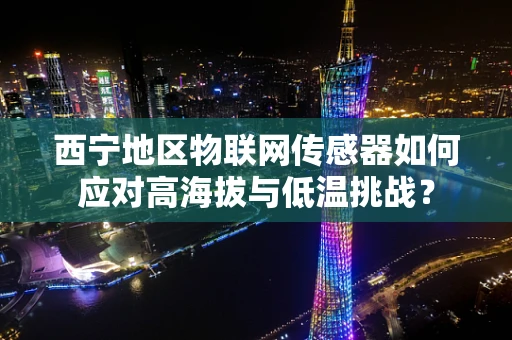 西宁地区物联网传感器如何应对高海拔与低温挑战？