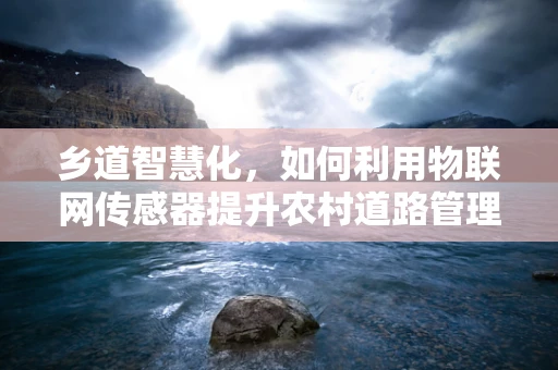 乡道智慧化，如何利用物联网传感器提升农村道路管理效率？