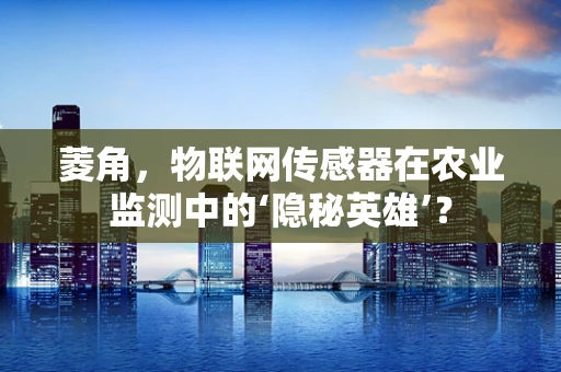 菱角，物联网传感器在农业监测中的‘隐秘英雄’？