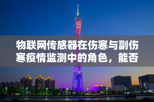 物联网传感器在伤寒与副伤寒疫情监测中的角色，能否实现精准预警？