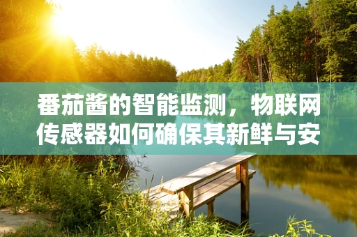 番茄酱的智能监测，物联网传感器如何确保其新鲜与安全？