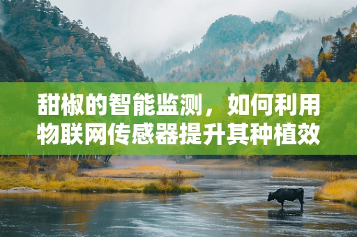 甜椒的智能监测，如何利用物联网传感器提升其种植效率？