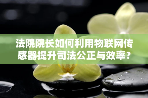 法院院长如何利用物联网传感器提升司法公正与效率？