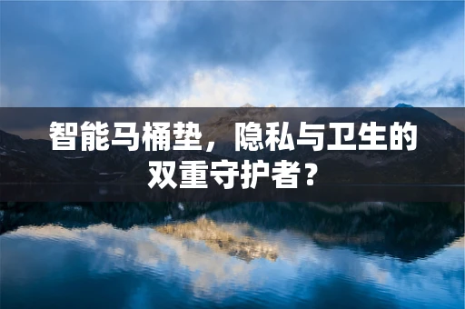 智能马桶垫，隐私与卫生的双重守护者？