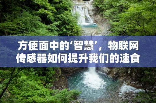 方便面中的‘智慧’，物联网传感器如何提升我们的速食体验？