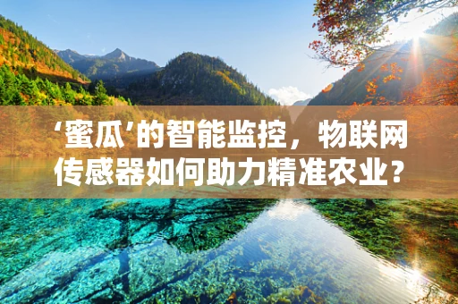 ‘蜜瓜’的智能监控，物联网传感器如何助力精准农业？