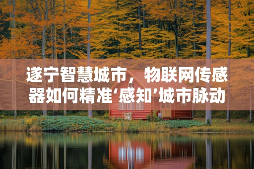 遂宁智慧城市，物联网传感器如何精准‘感知’城市脉动？