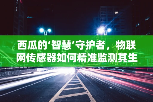 西瓜的‘智慧’守护者，物联网传感器如何精准监测其生长？