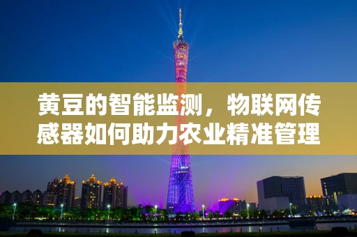黄豆的智能监测，物联网传感器如何助力农业精准管理？