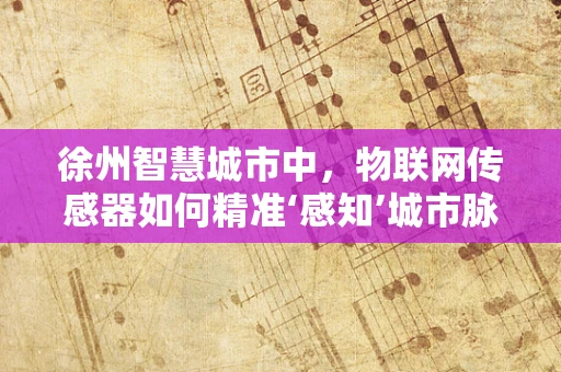 徐州智慧城市中，物联网传感器如何精准‘感知’城市脉动？