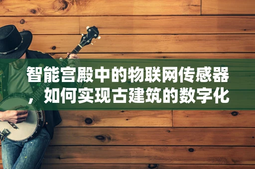 智能宫殿中的物联网传感器，如何实现古建筑的数字化守护？