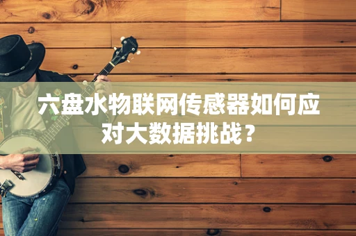 六盘水物联网传感器如何应对大数据挑战？