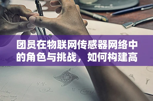 团员在物联网传感器网络中的角色与挑战，如何构建高效的数据收集团队？