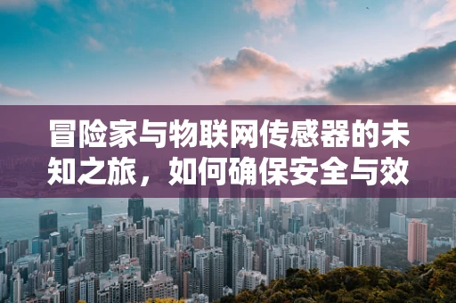 冒险家与物联网传感器的未知之旅，如何确保安全与效率？