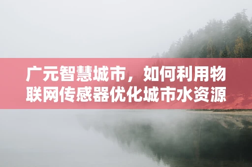 广元智慧城市，如何利用物联网传感器优化城市水资源管理？