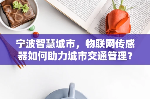 宁波智慧城市，物联网传感器如何助力城市交通管理？