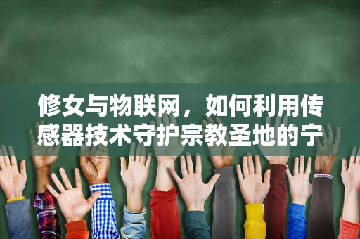 修女与物联网，如何利用传感器技术守护宗教圣地的宁静？
