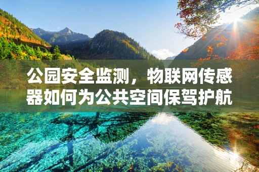 公园安全监测，物联网传感器如何为公共空间保驾护航？