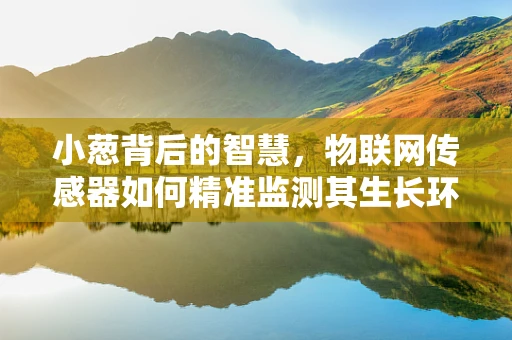 小葱背后的智慧，物联网传感器如何精准监测其生长环境？