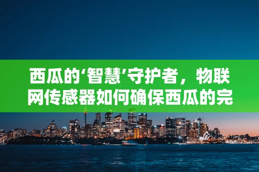 西瓜的‘智慧’守护者，物联网传感器如何确保西瓜的完美之旅？