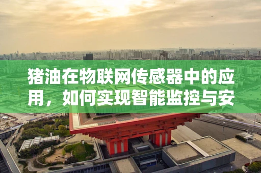 猪油在物联网传感器中的应用，如何实现智能监控与安全保障？