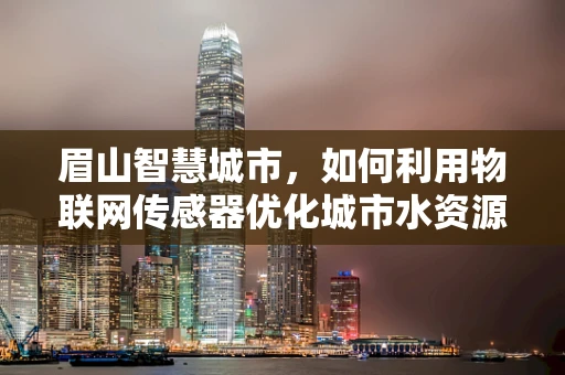 眉山智慧城市，如何利用物联网传感器优化城市水资源管理？