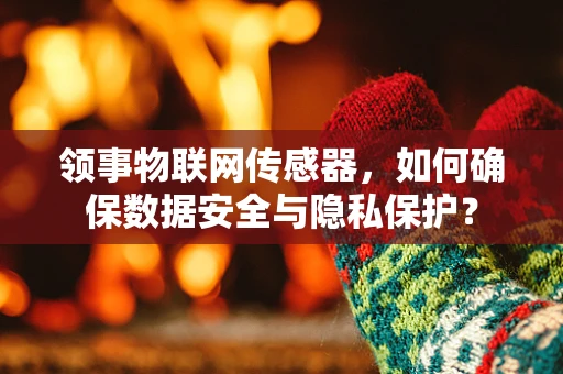 领事物联网传感器，如何确保数据安全与隐私保护？