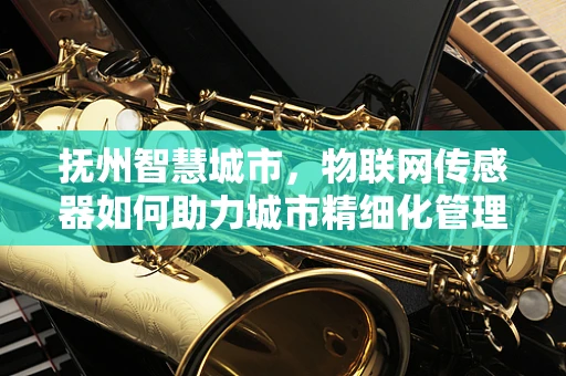 抚州智慧城市，物联网传感器如何助力城市精细化管理？
