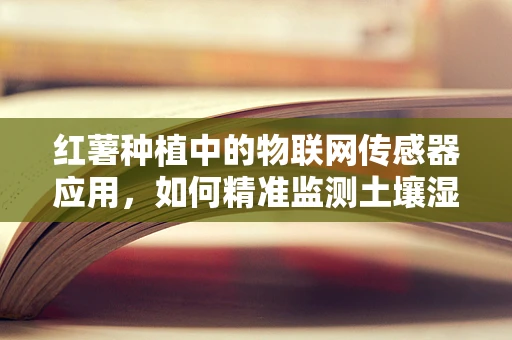 红薯种植中的物联网传感器应用，如何精准监测土壤湿度？