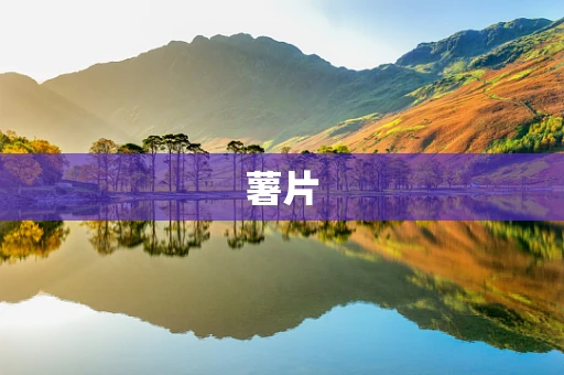 薯片